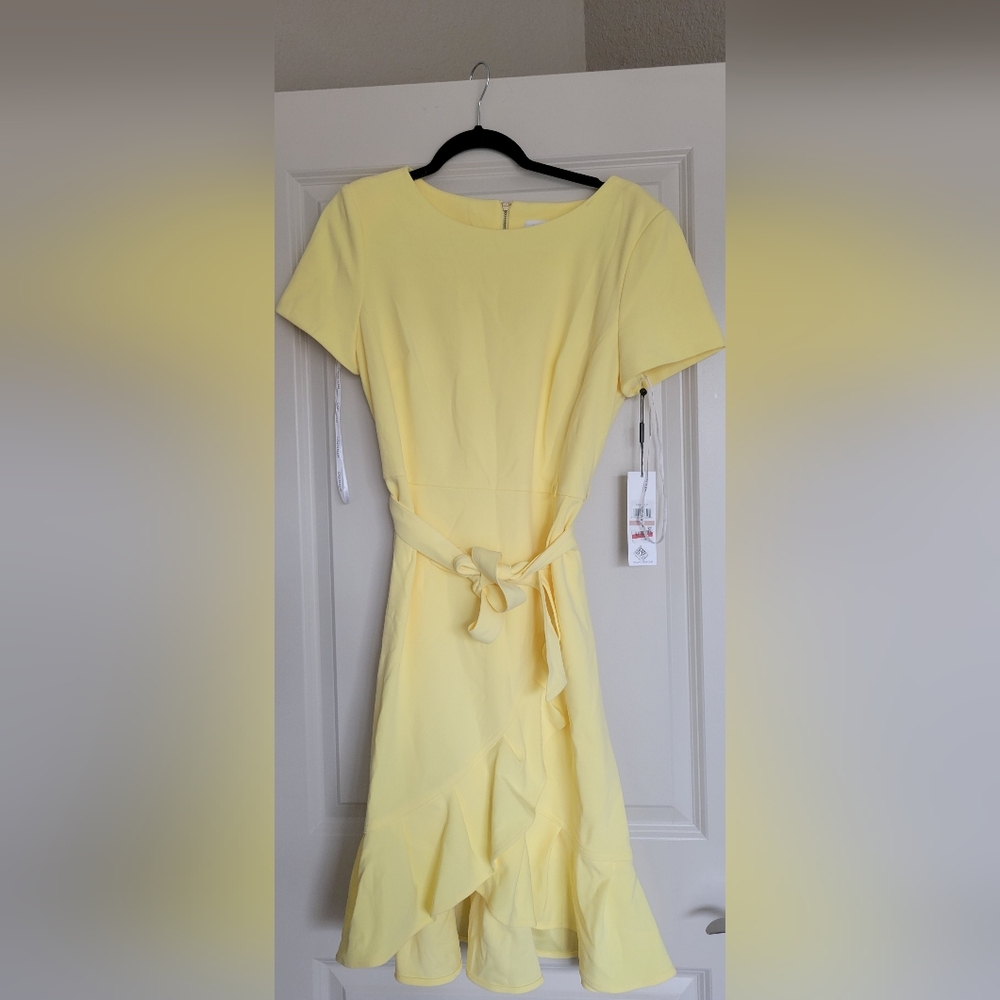 Calvin Klein ruffle, tulip hem, belted dress. Short-Sleeved. Women's size 12